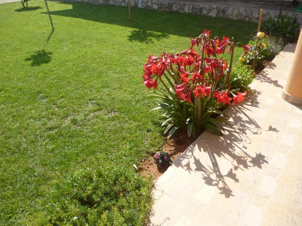 Apartments And Rooms Mara I Pavo Medjugorje Exterior photo
